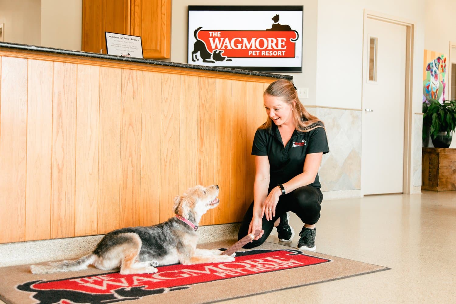 A Wagmore Pet Resort team member kneeling on the WAGMORE-branded welcome mat with a dog at the reception lobby.